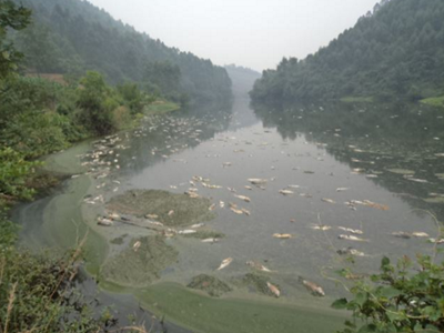 深圳水質檢測