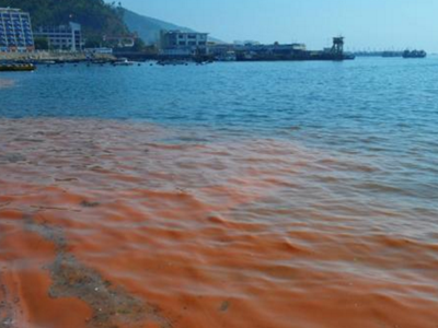 深圳水質檢測機構