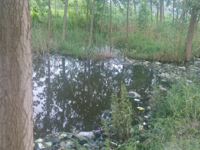 深圳水質檢測機構